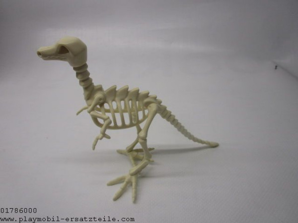 Dino Skelett 30512440