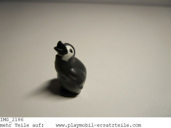 Pinguin Junges 30463972