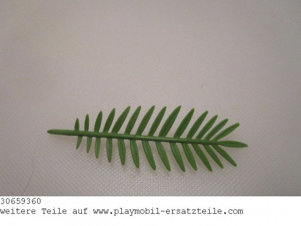 Palmwedel 06 30659360