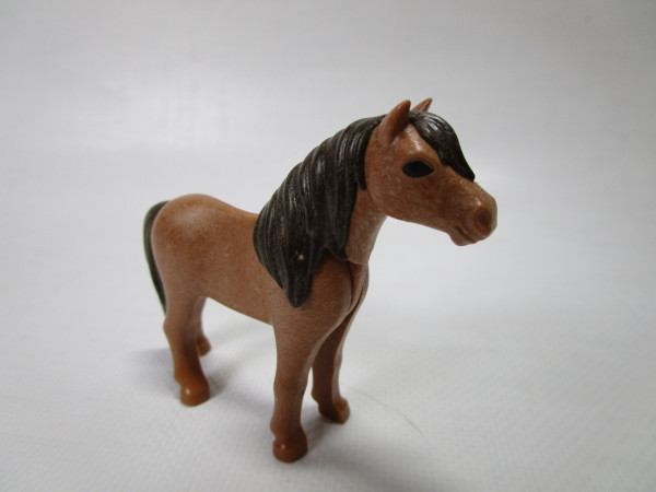 Pony 02