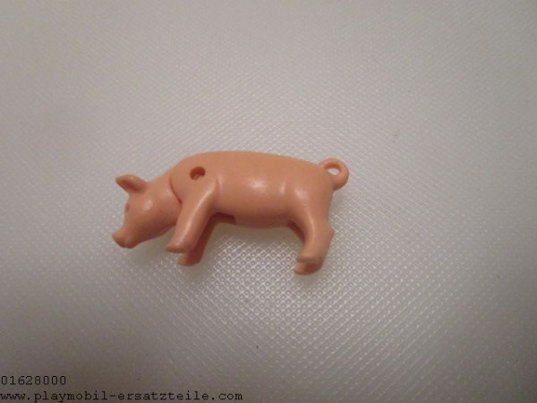 Schwein Ferkel 1 1 30661190