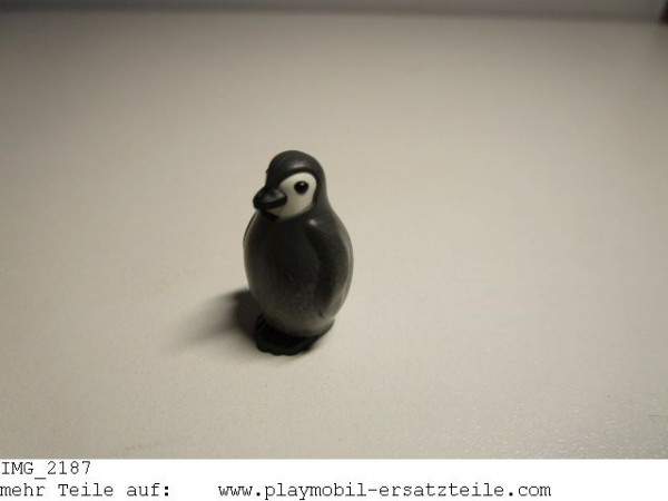Pinguin Junges 30463082