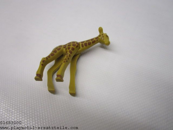 Giraffe Junges 30646222